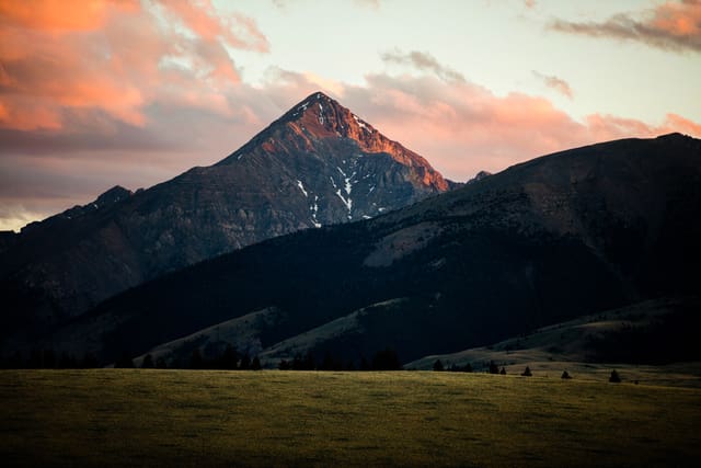 Bison Ranching photograph 19