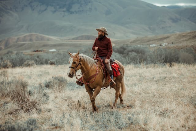 Bison Ranching photograph 23