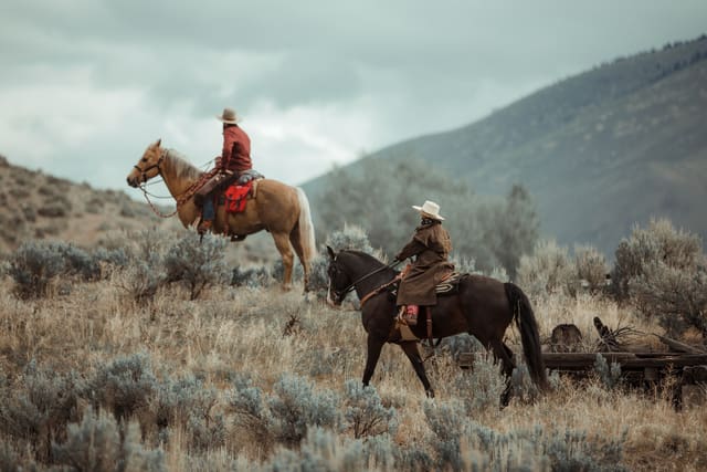 Bison Ranching photograph 26