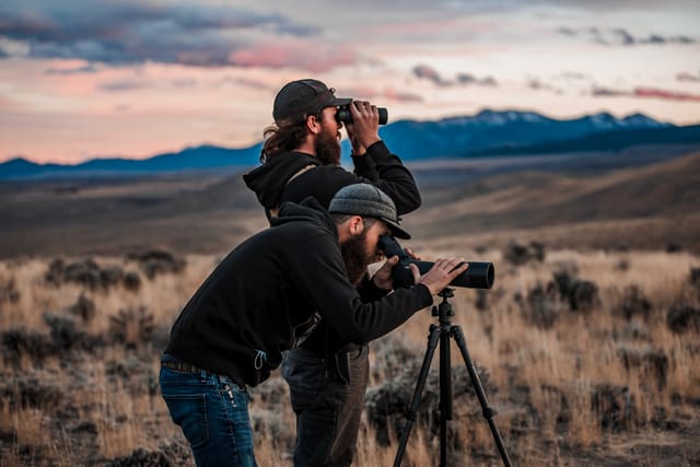 Bison Ranching photograph 38
