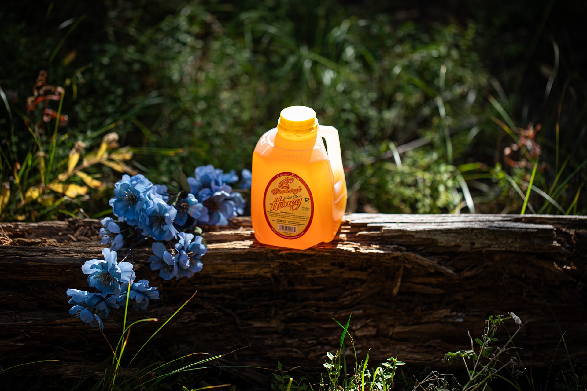 Browning’s Honey on a weathered log with blue flowers outdoors