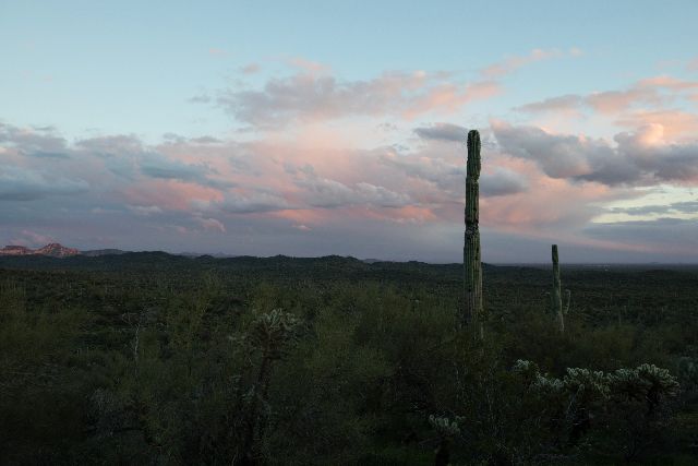 8-MLR_8859