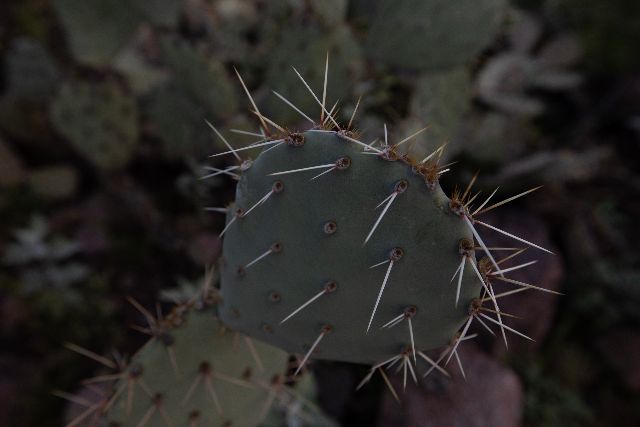 7-MLR_8860